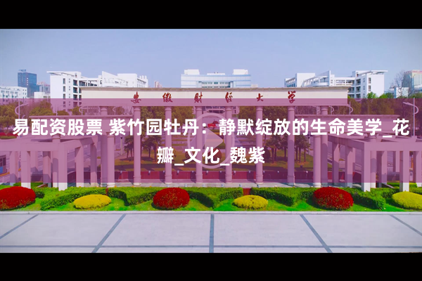 易配资股票 紫竹园牡丹：静默绽放的生命美学_花瓣_文化_魏紫