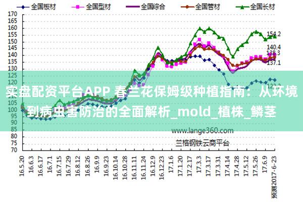 实盘配资平台APP 春兰花保姆级种植指南：从环境到病虫害防治的全面解析_mold_植株_鳞茎